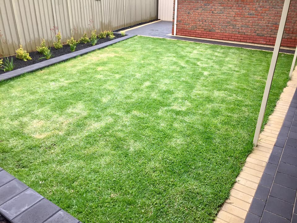 green lawn