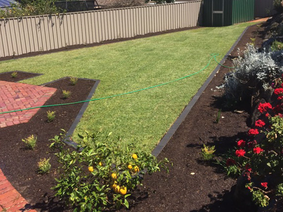 garden and lawn