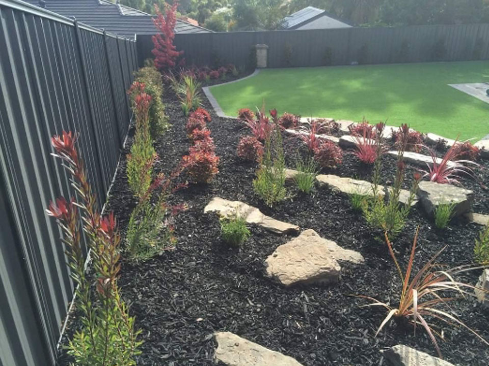garden and lawn